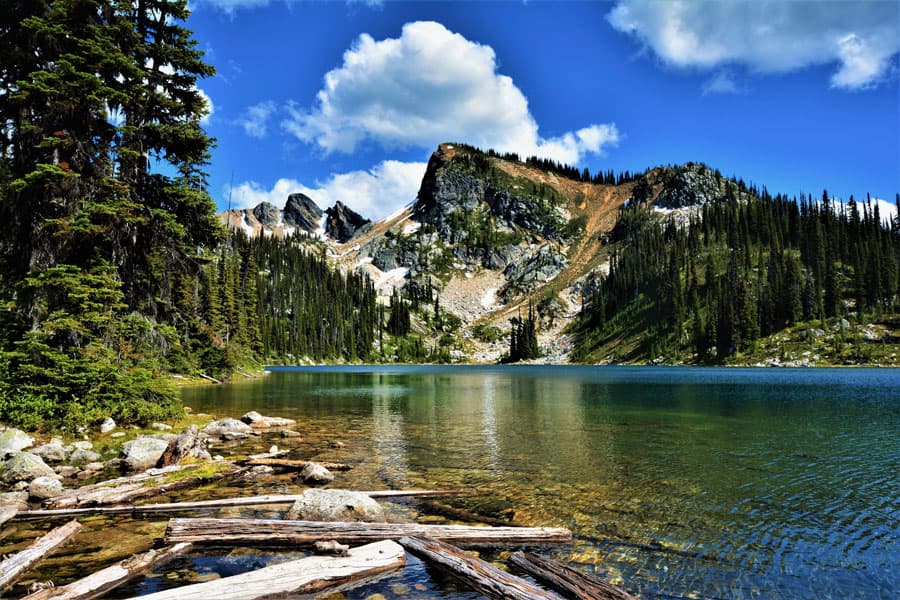 Parc national de Revelstoke